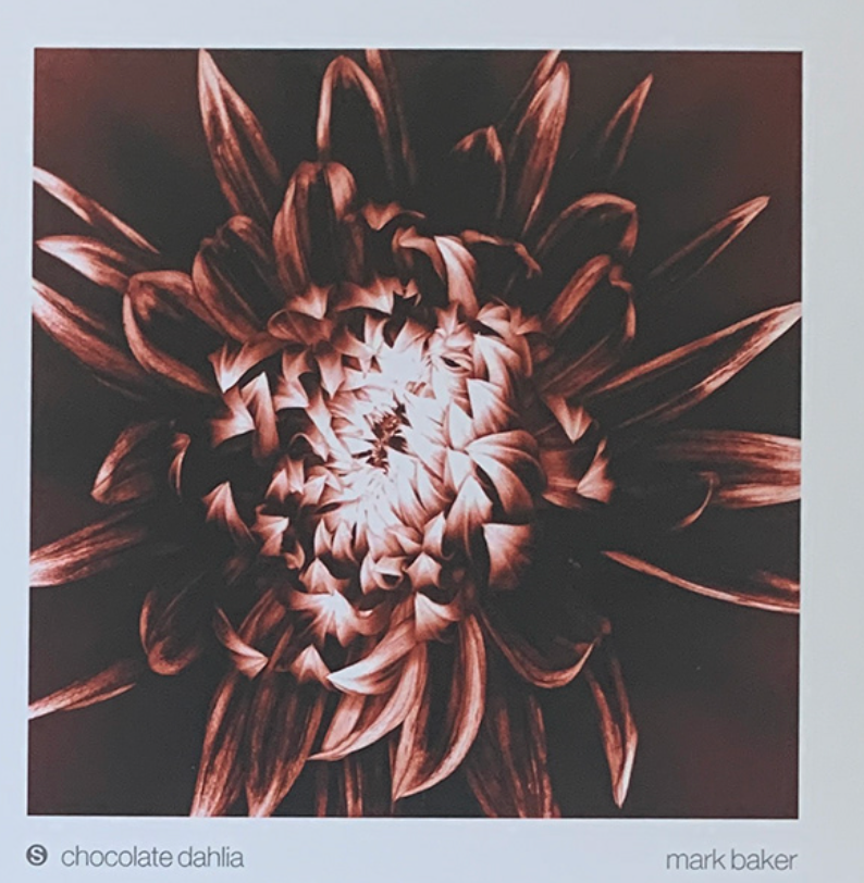 33x33 - 6HH - F09 - 12