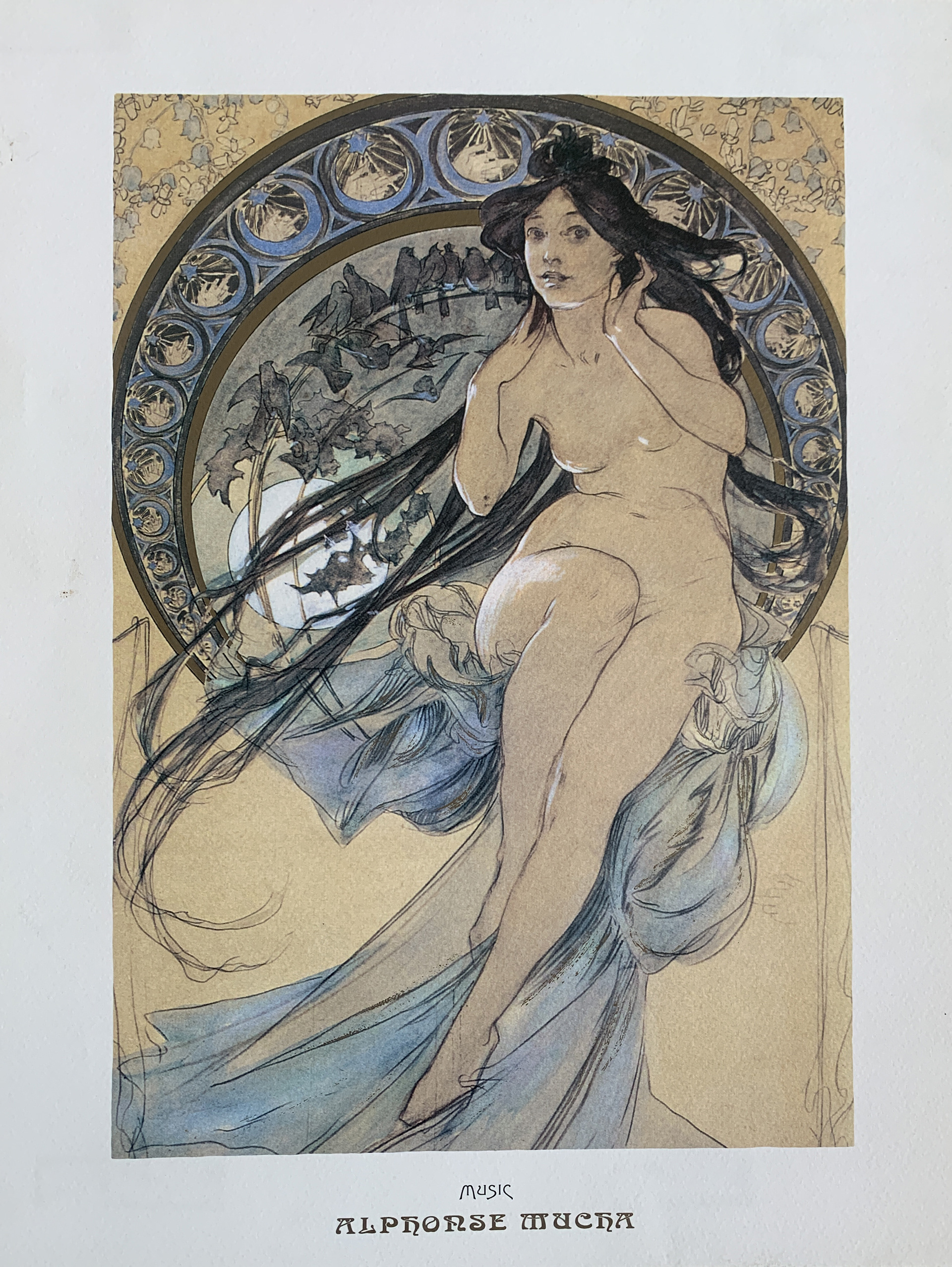 30x40 - COD: 3N - C14 - 18