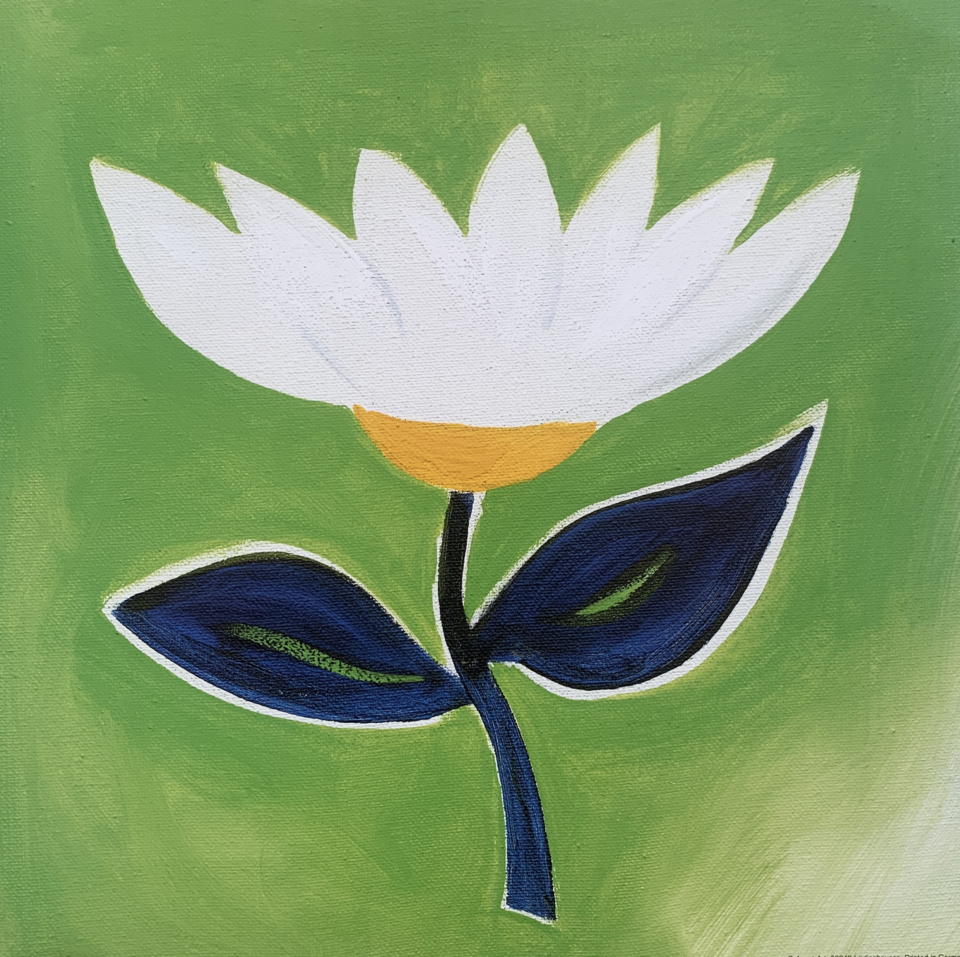 25x25 - COD: 2i - B51 - 10