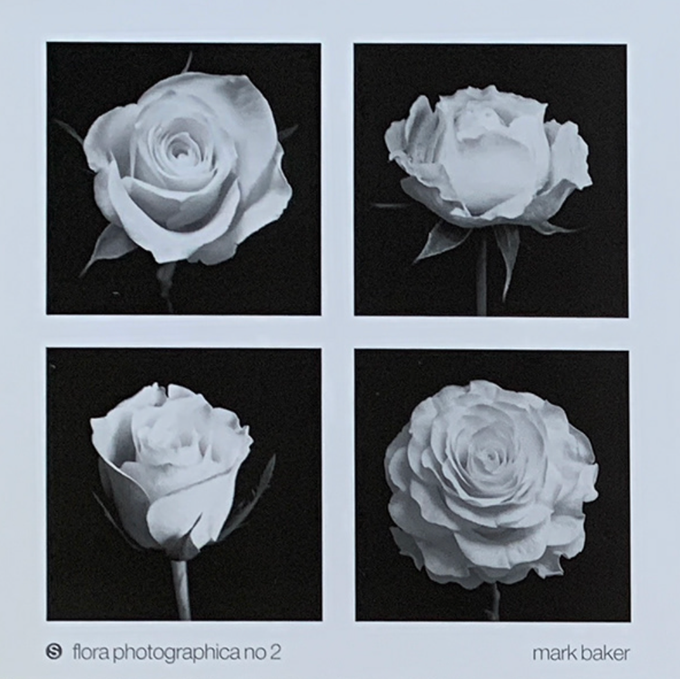 33x33 - 6HH - F18 - 16