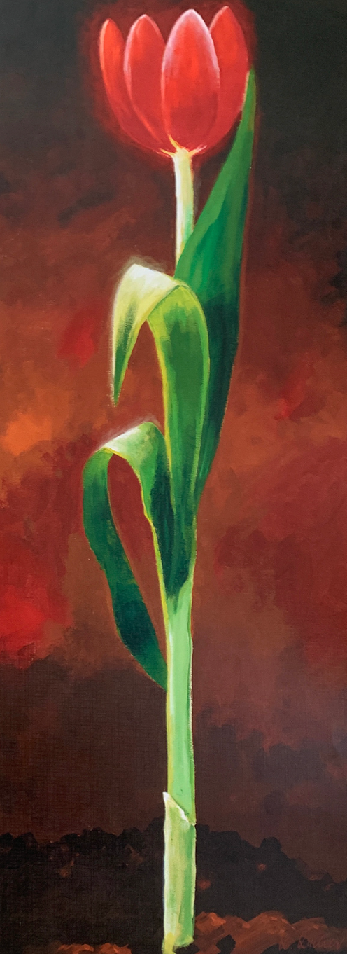 30x96 - 5Z - F27 - 38