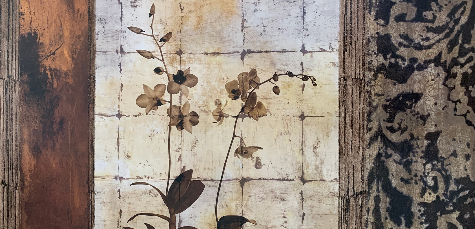 90x50 - 5W - F15 - 38