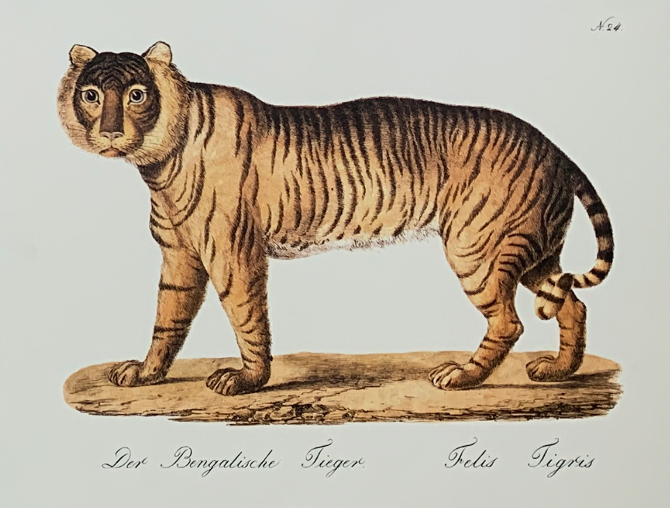 45x35 - COD: 3N - C11 - 16