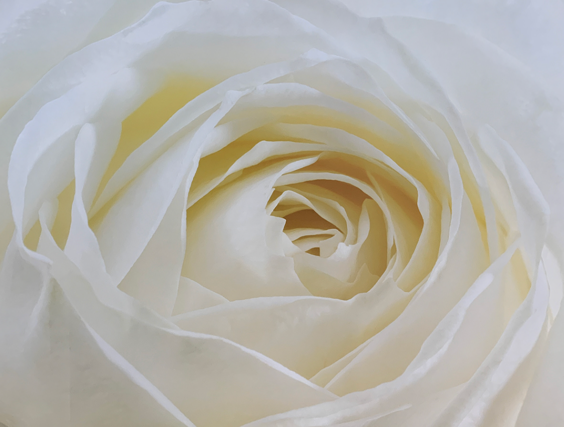 79x59 - 5W - F06 - 38