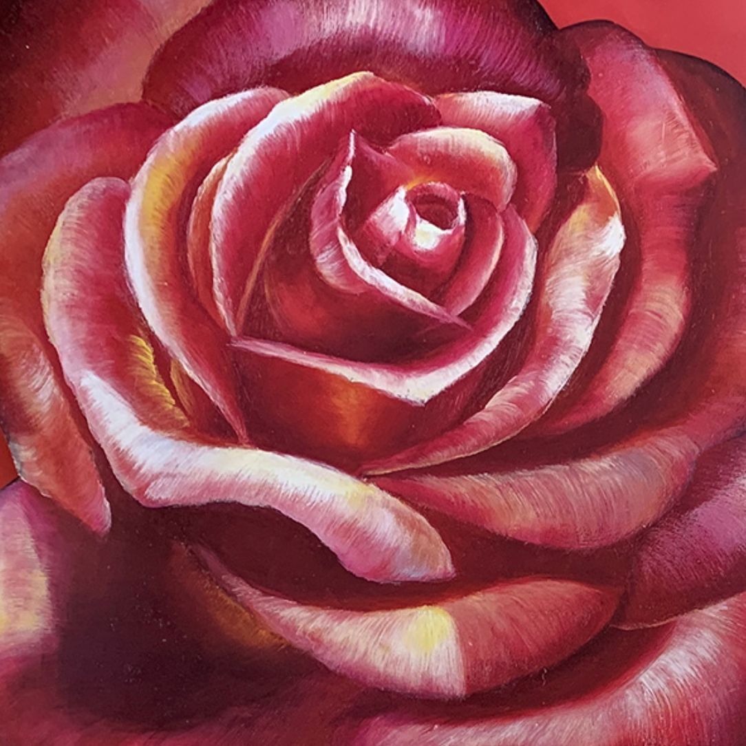 50x50 - 5Y - F05 - 24