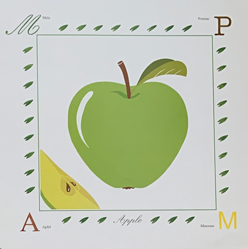 30x30 - COD: 2i - B13 - 13