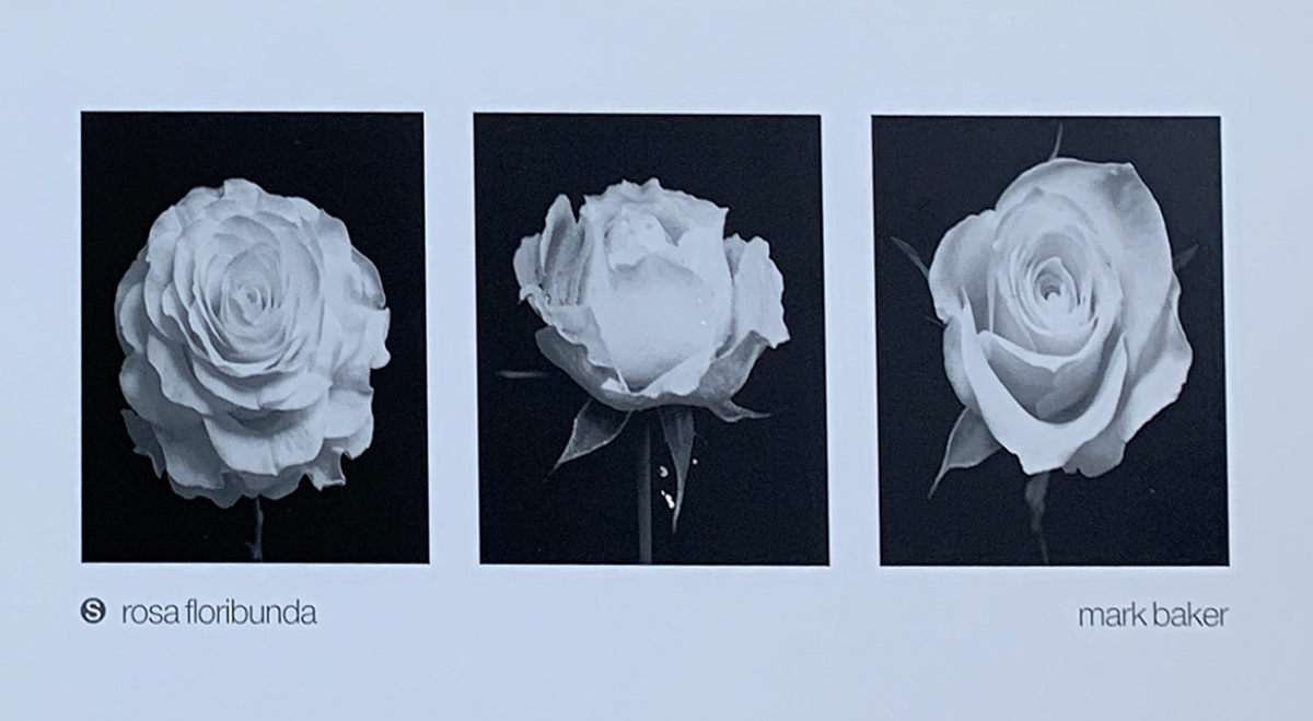 36x20 - 6HH - F17 - 10