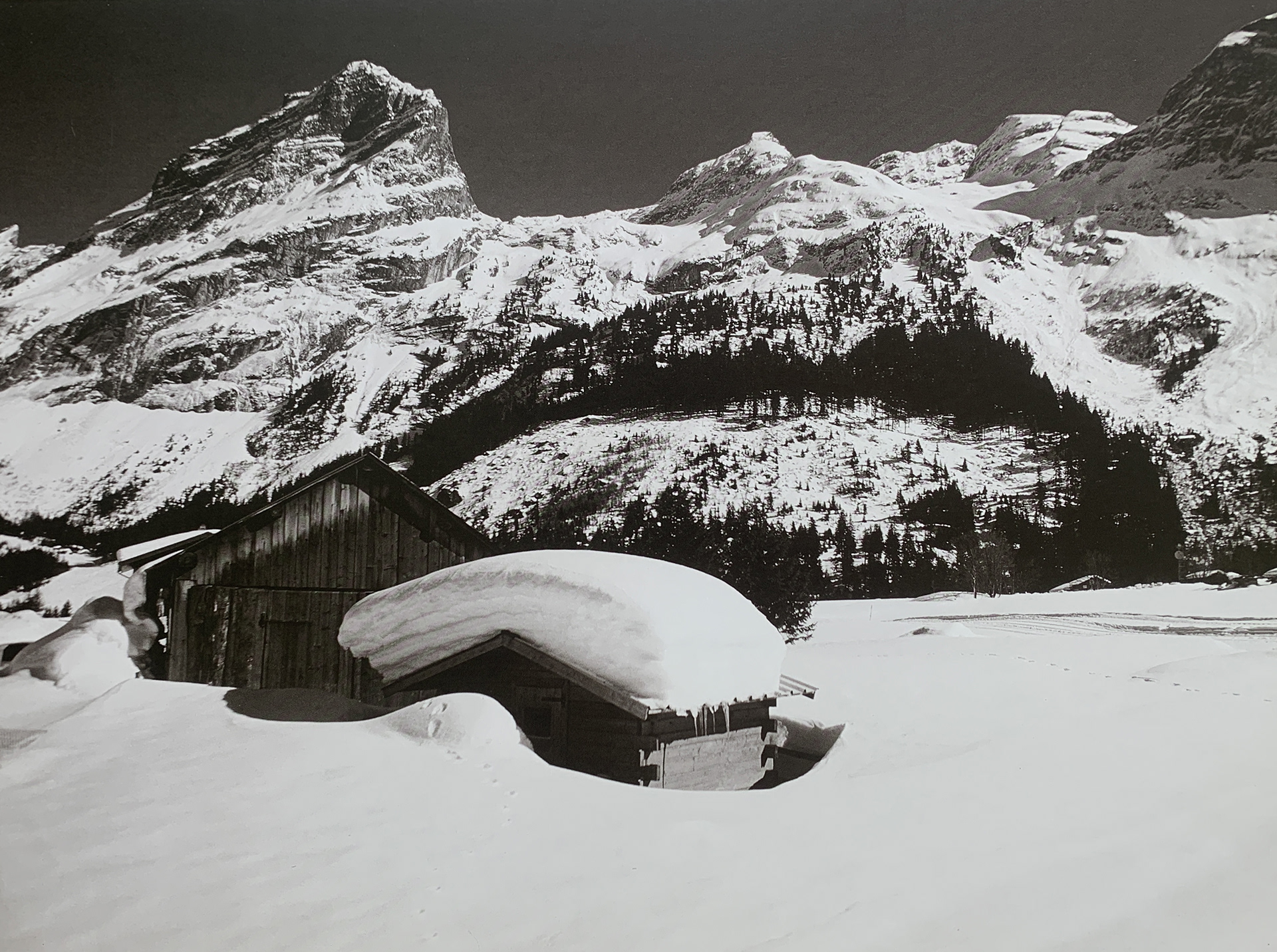 40x30 - 6HH - F16 - 10