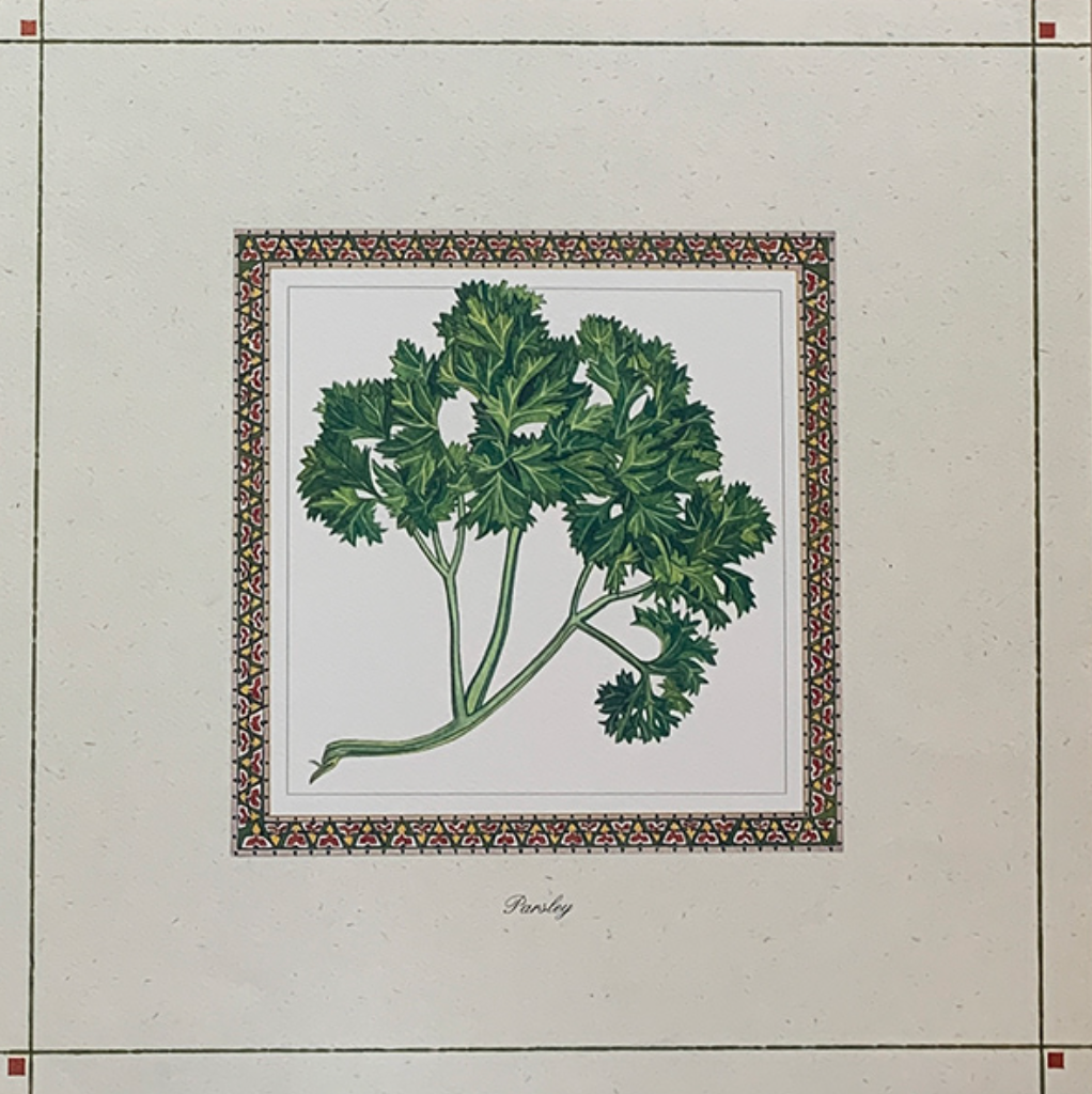 40x40 - COD: 6CC - C06 - 18