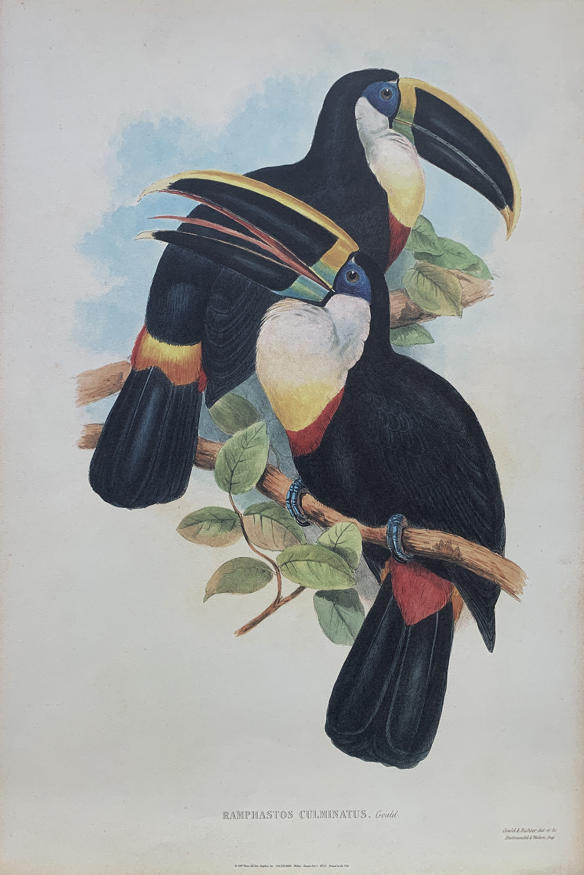 38x56 - COD: 3Q - i18 - 42