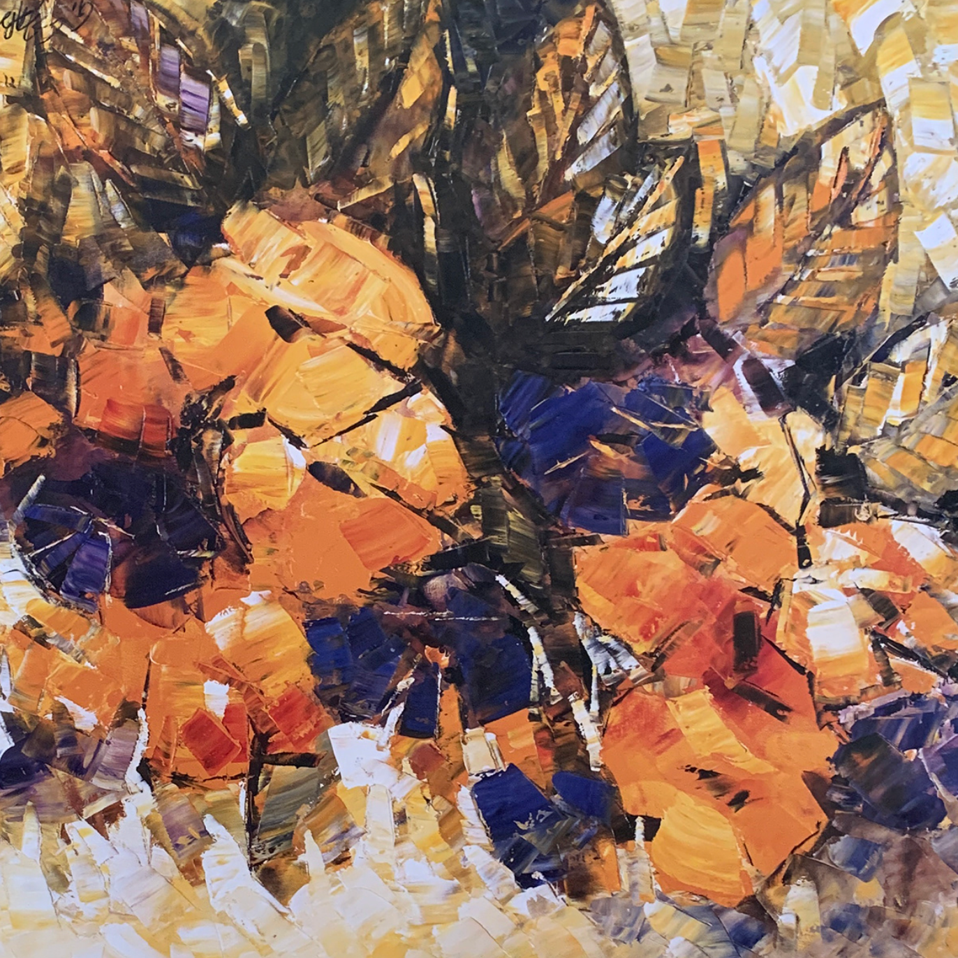 60x60 - 5K - F16 - 39