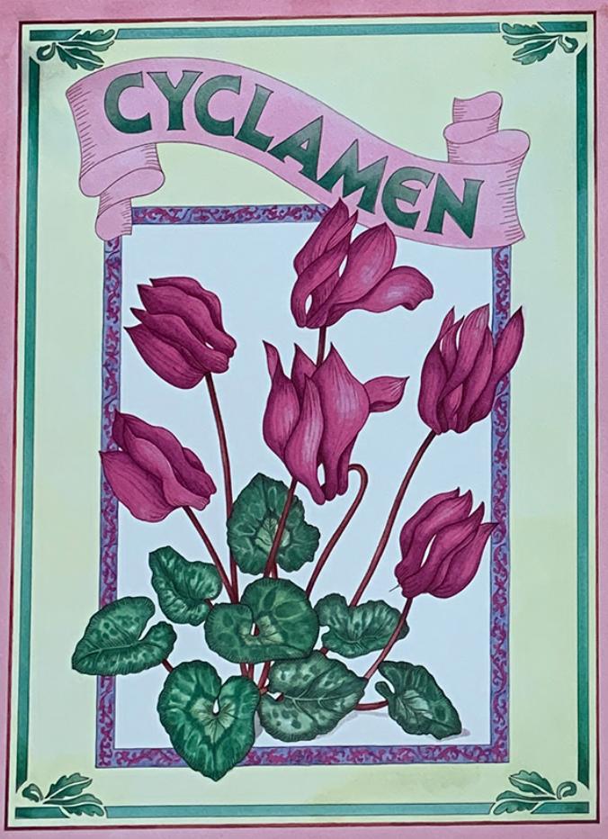 47x66 - COD: 5U - V65 - 18