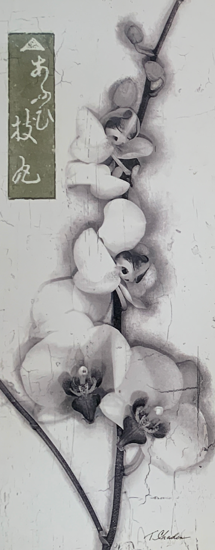 20x51 - 5Z - F13 - 14