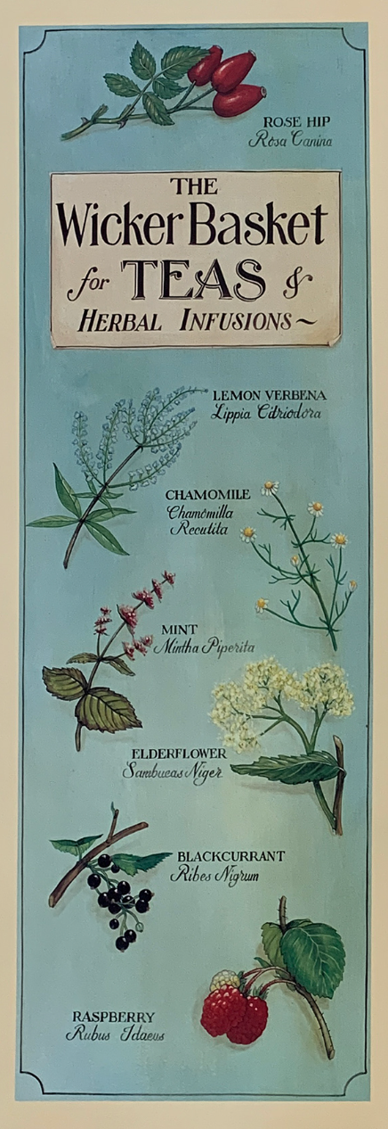 25x66 - COD: 6BB - C55 - 18