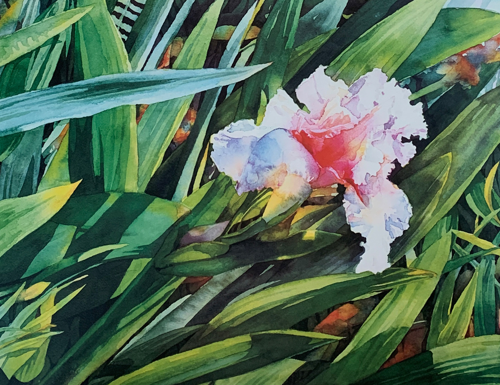 80x60 LF 508