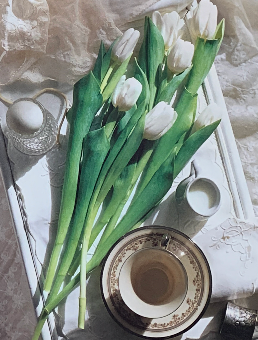 40x50 - COD: 6CC - C02 - 12