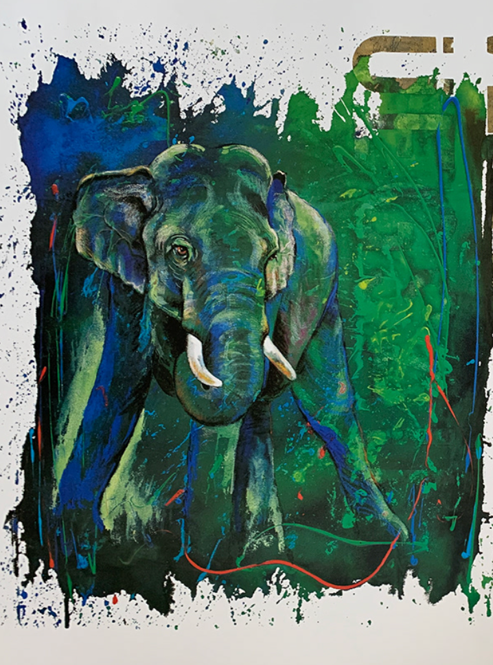 60x80 - COD: 2H - B04 - 36