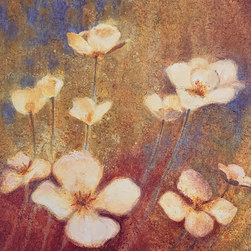 50x50 - 5Y - F09 - 29