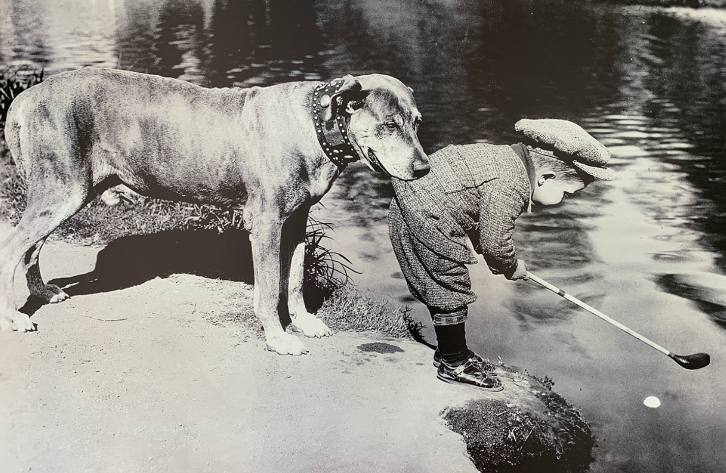 90x60 - 6GG - F05 - 18