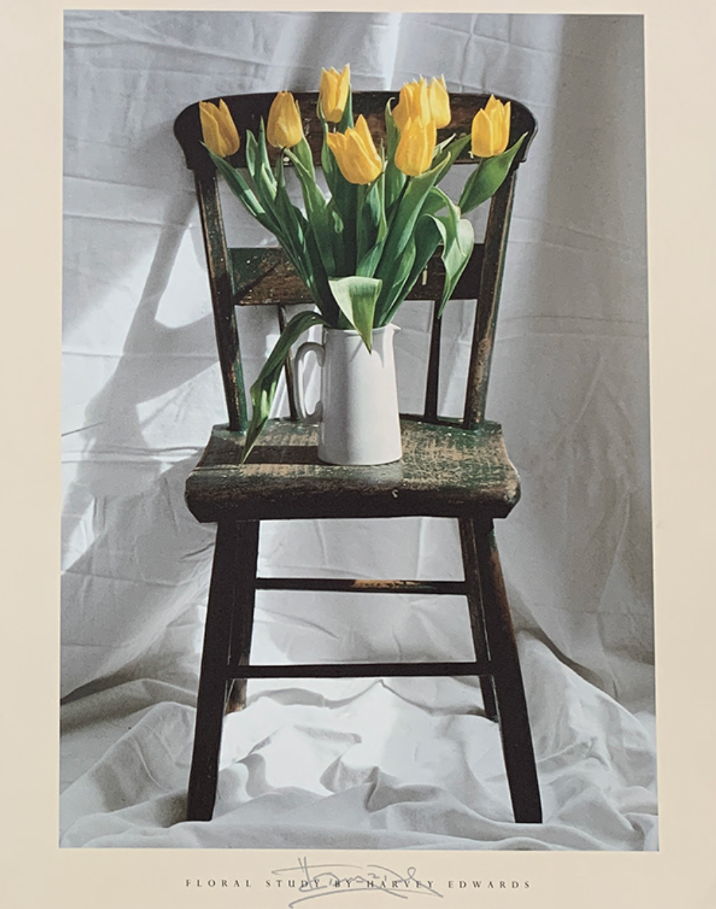 40x50 - COD: 6CC - C35 - 16