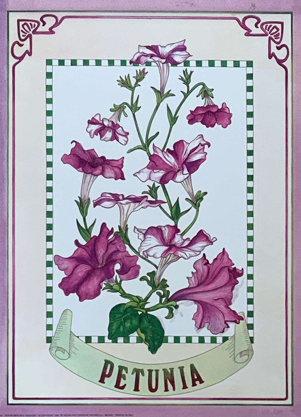 30x40 COD: LC374