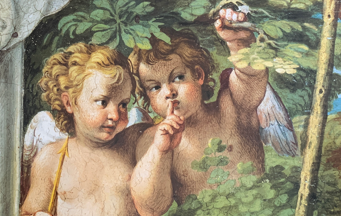 89x60 - COD: 3M - C20 - 24