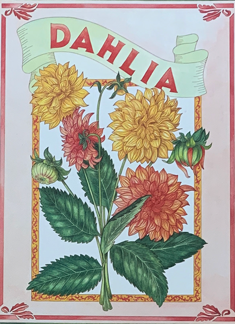 30x40 - COD: 5U - V72 - 12