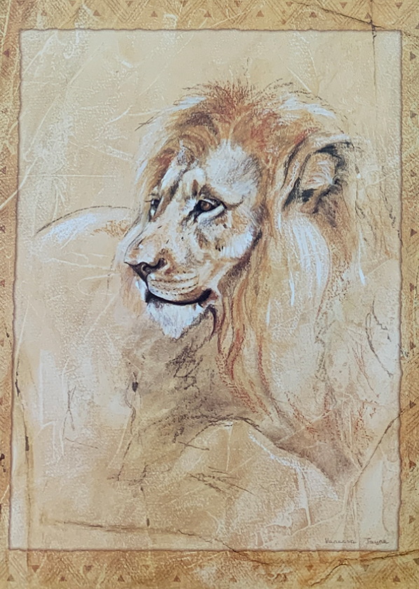 28x35 - COD: 5U - V31 - 16