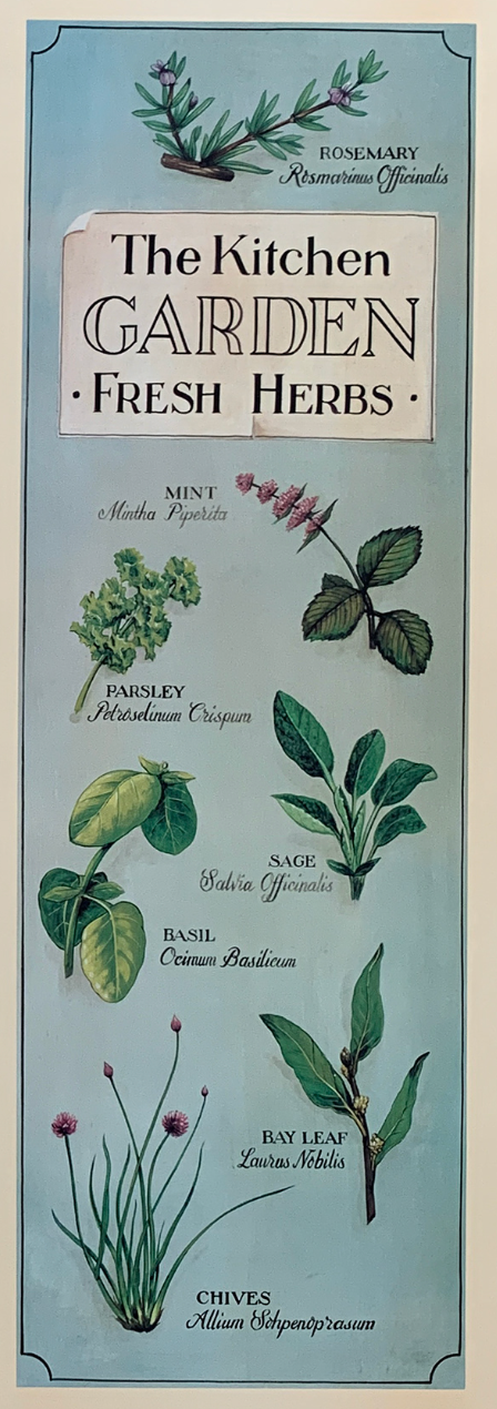 25x65 - COD: 6BB - C54 - 20