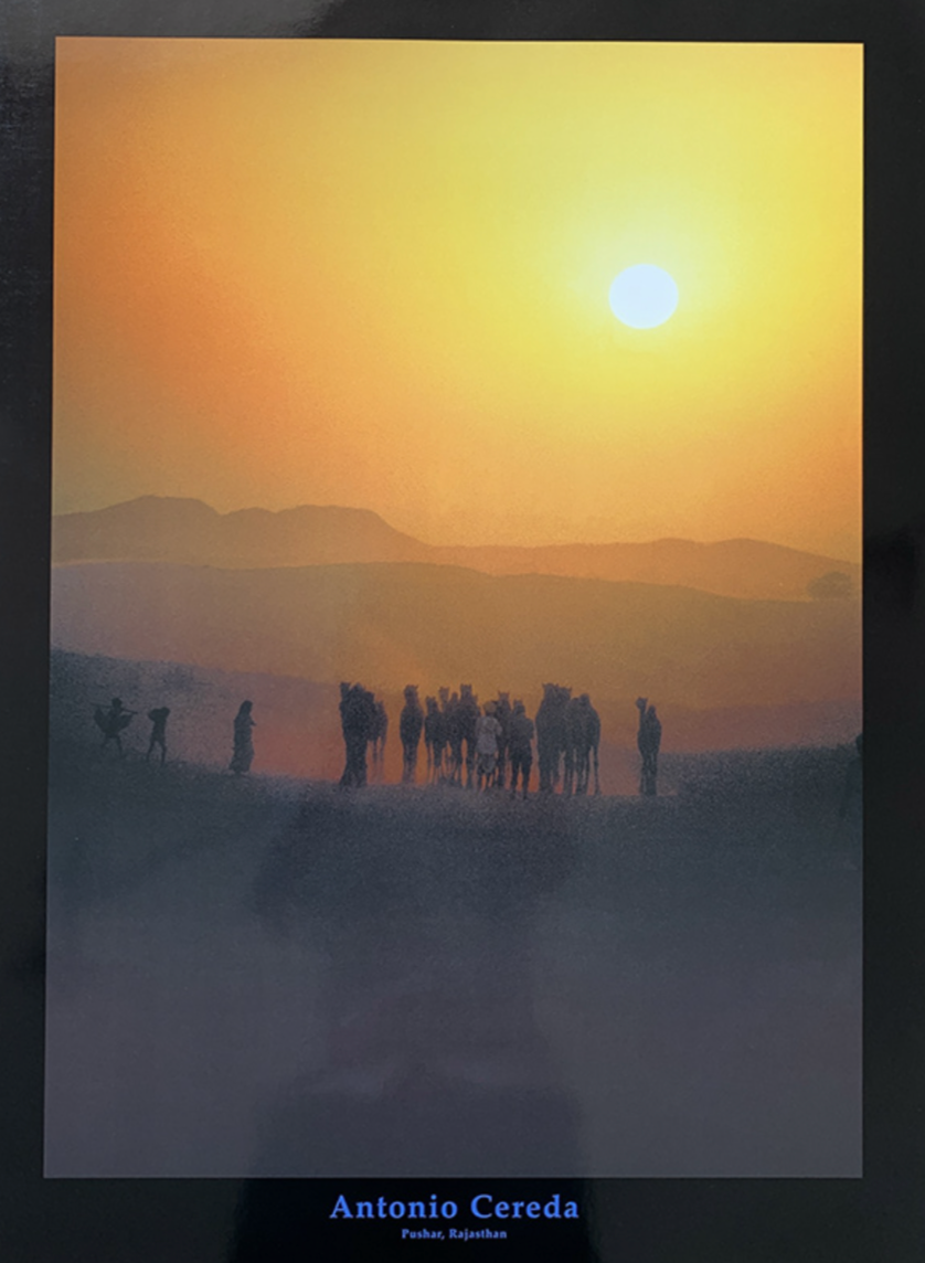 60x80 - 6DD - F24 - 18