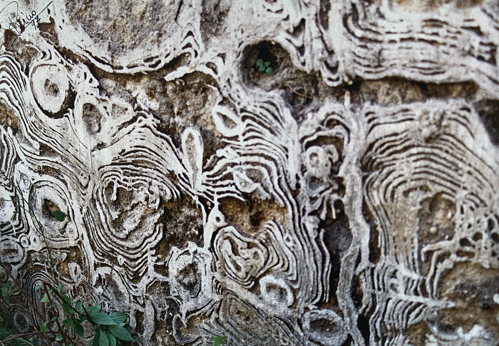 44x30 - 6EE - F33 - 18