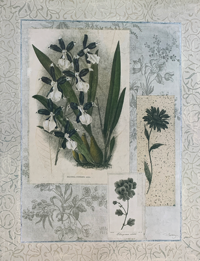 52x67 - COD: 6BB - C28 - 24