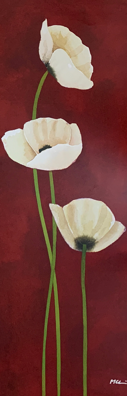 25x70 - 5Y - F27 - 24