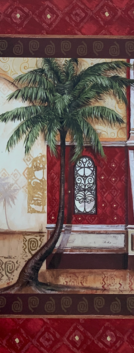 20x50 - COD: 5U - V11 - 12