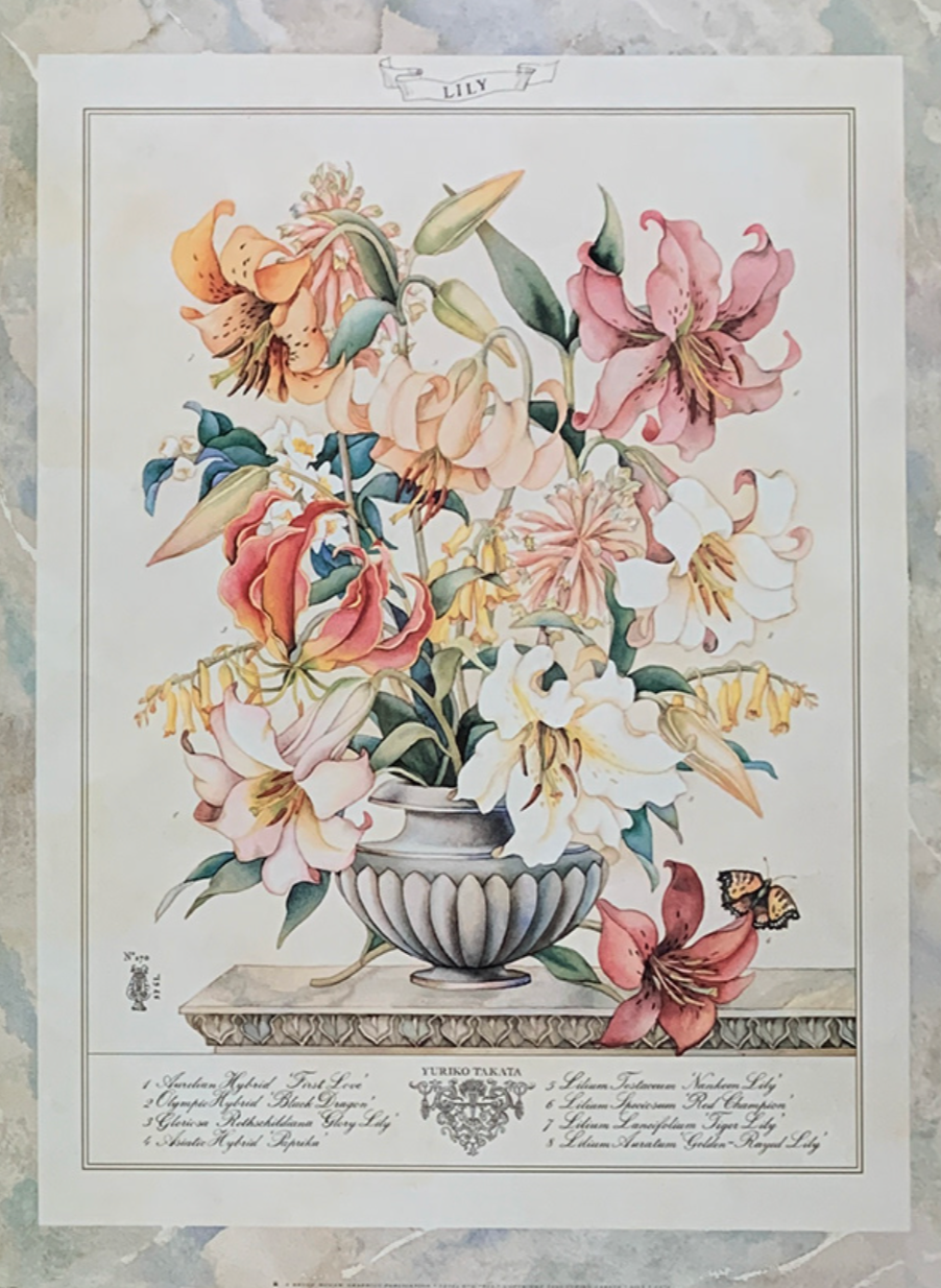 45x60 - COD: 5U - V60 - 24