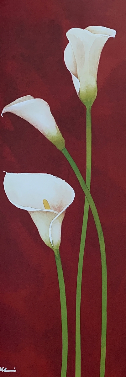 25x70 - 5Y - F26 - 24