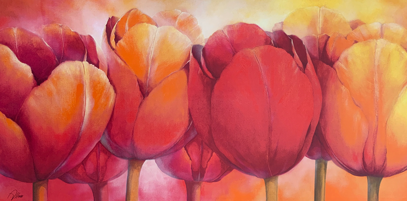 95x50 - 5Z - F26 - 40