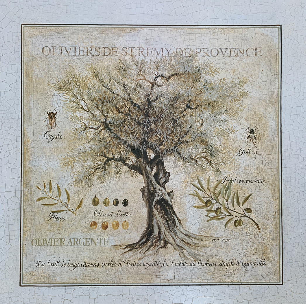 69x69 - COD: 6AA - C10 - 28