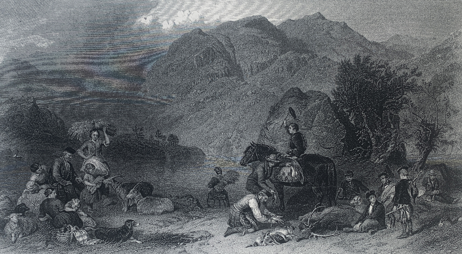 50x35 - COD: 3Q - i34 - 35