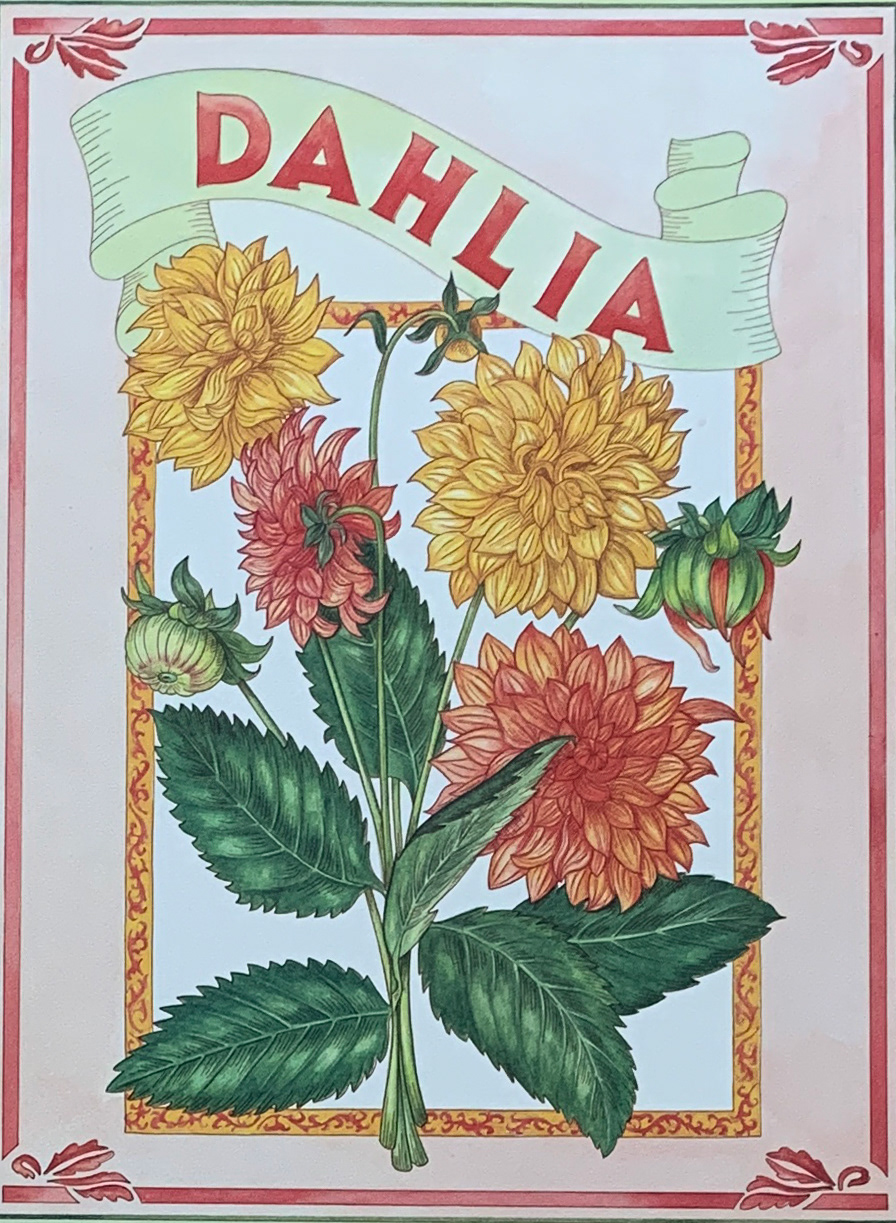 30x40 COD: LC315
