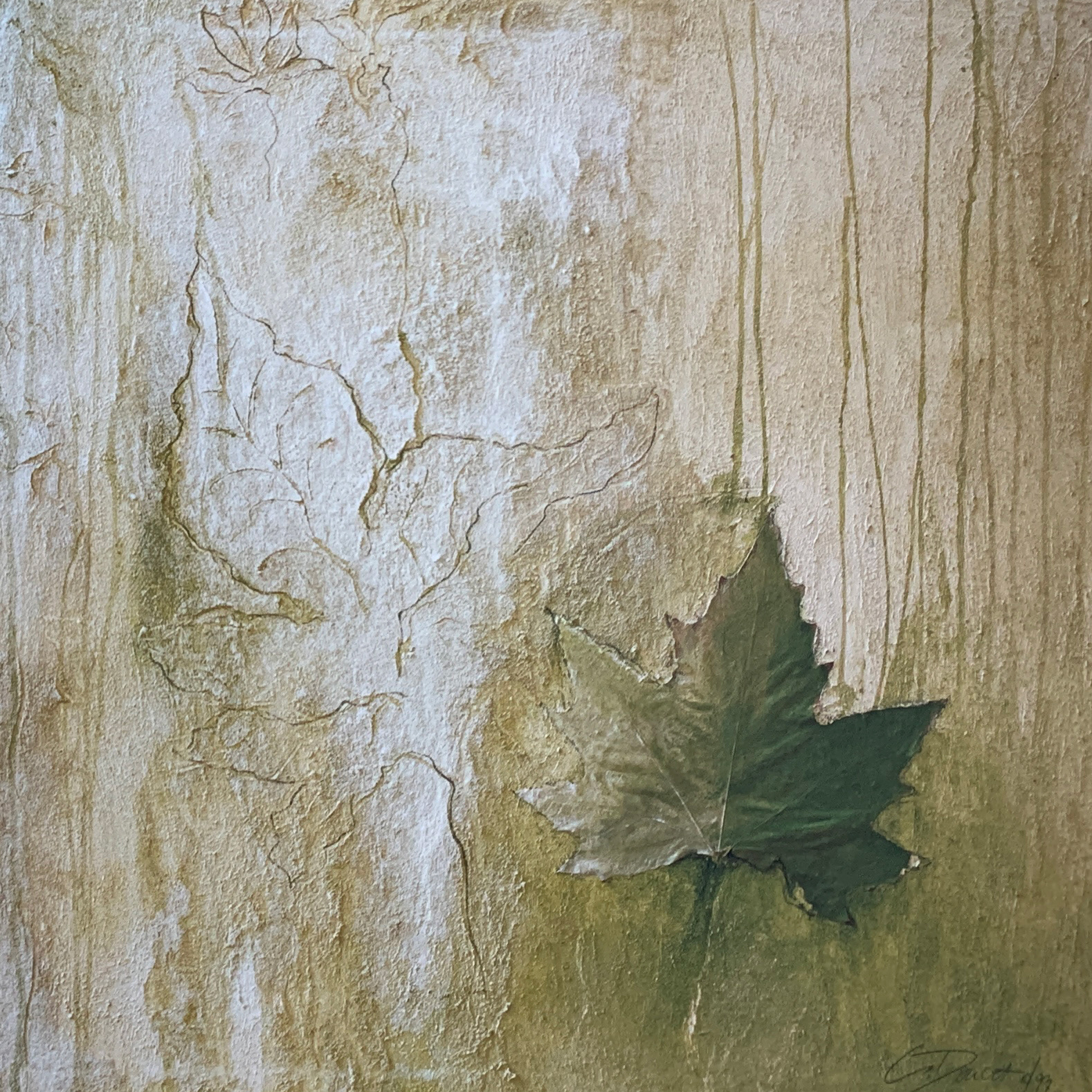 60x60 LF 462