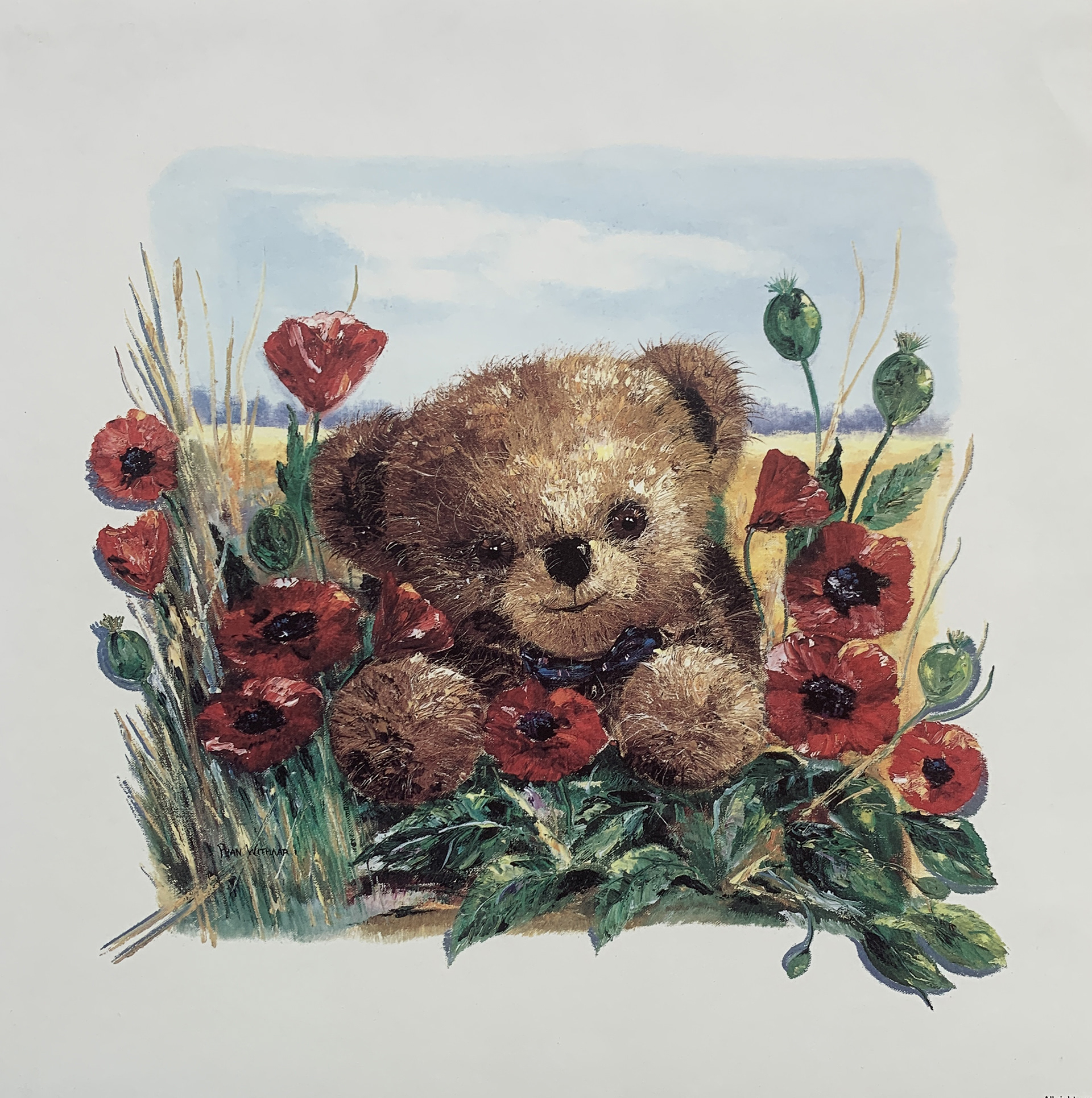 25x25 - COD: 2i - B50 - 10