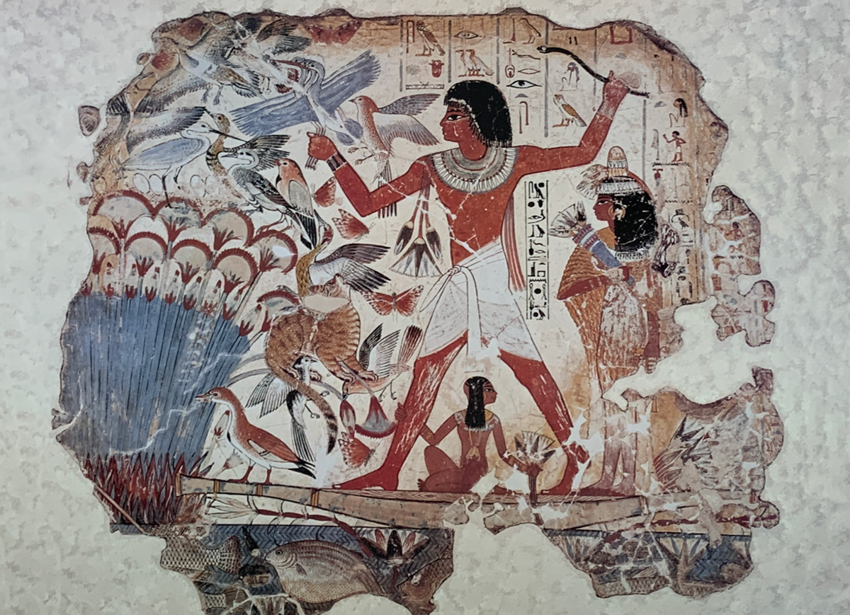 60x80 - COD: 3M - C06 - 30