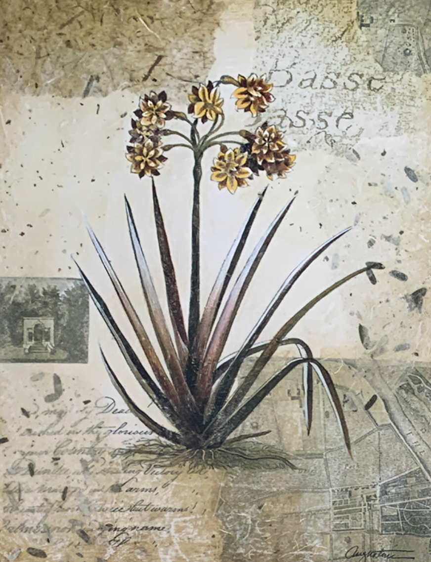 40x50 - 5Y - F16 - 26