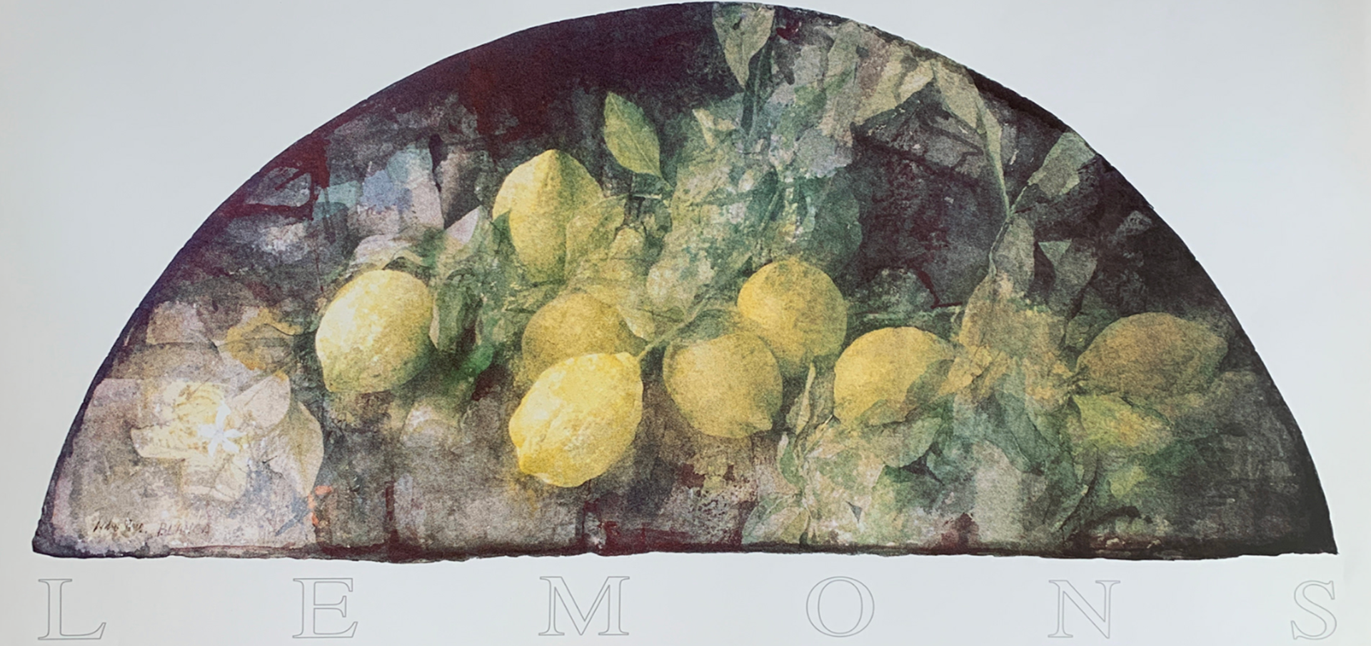 95x49 - COD: 6AA - C05 - 36