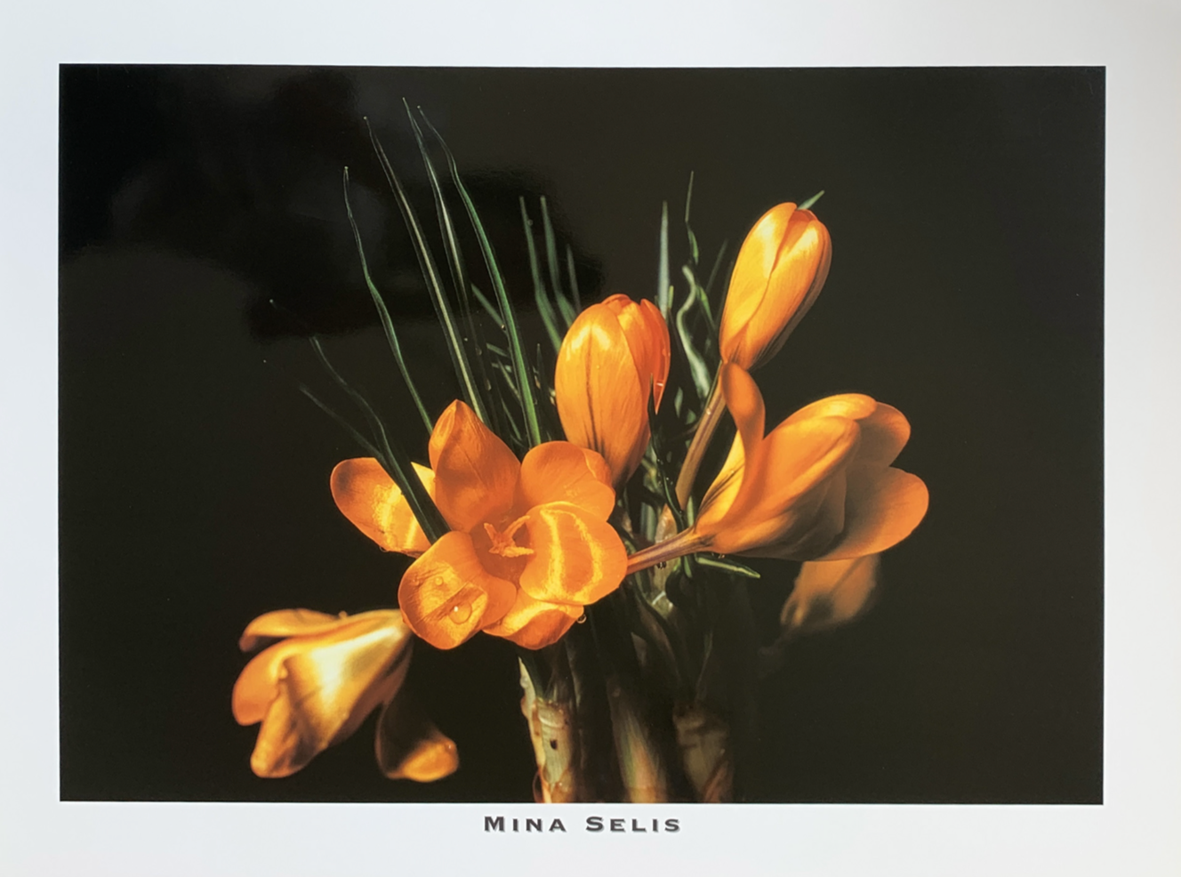 80x60 - 6DD - F05 - 18