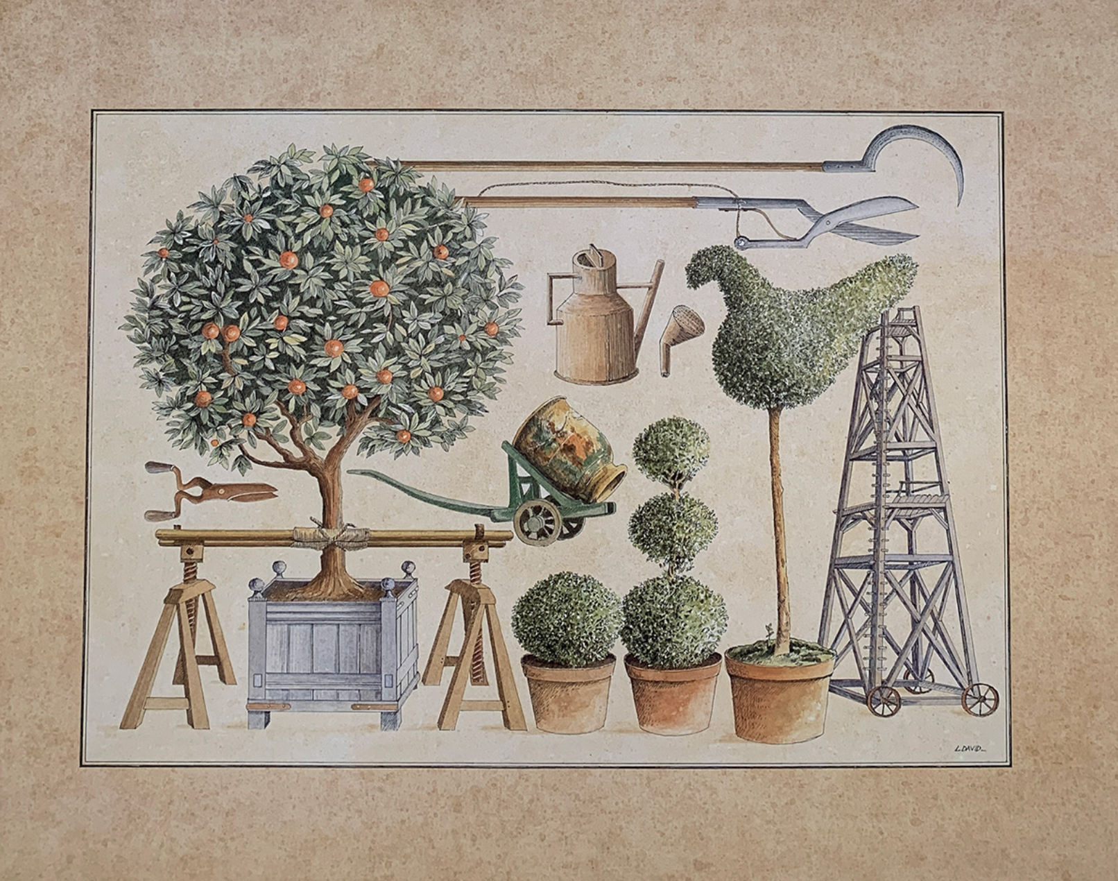 65x50 - COD: 6BB - C37 - 16