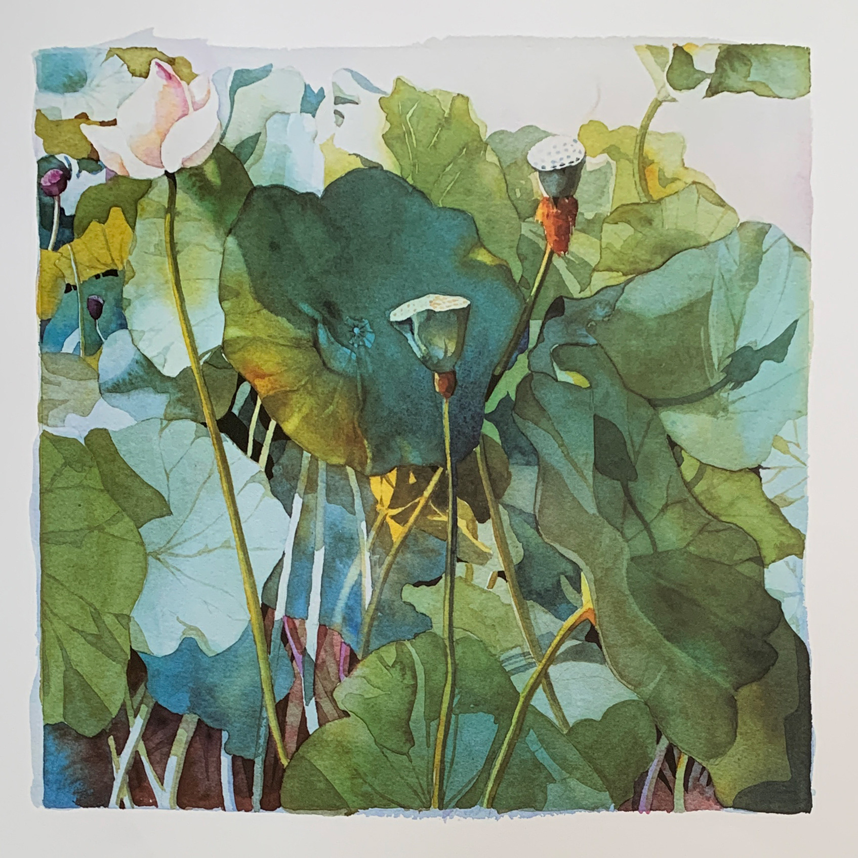 80x60 LF 536