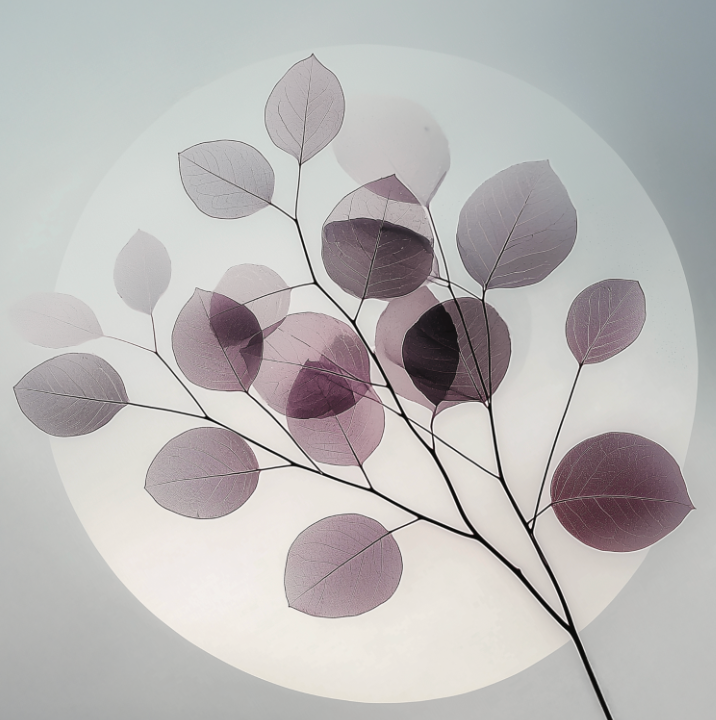 SST009 - 100x100cm - €265,00