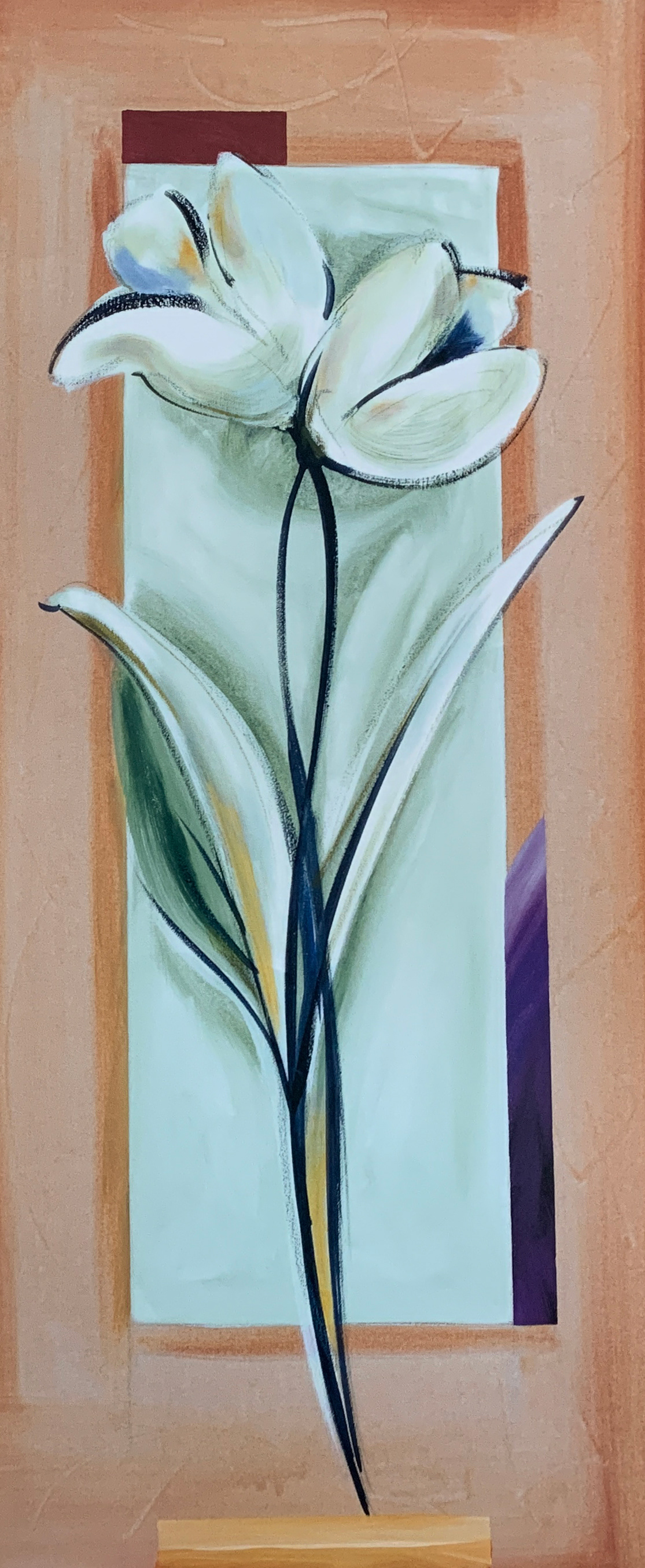30x70 LF 531
